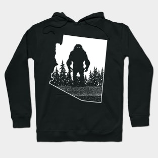 Arizona Bgfoot Hoodie